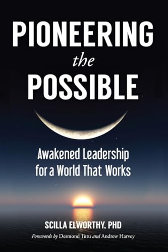 Imagen de archivo de Pioneering the Possible: Awakened Leadership for a World That Works (Sacred Activism) a la venta por AwesomeBooks