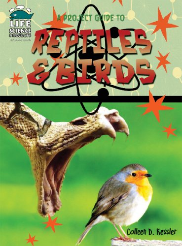 Beispielbild fr A Project Guide to Birds & Reptiles zum Verkauf von ThriftBooks-Dallas