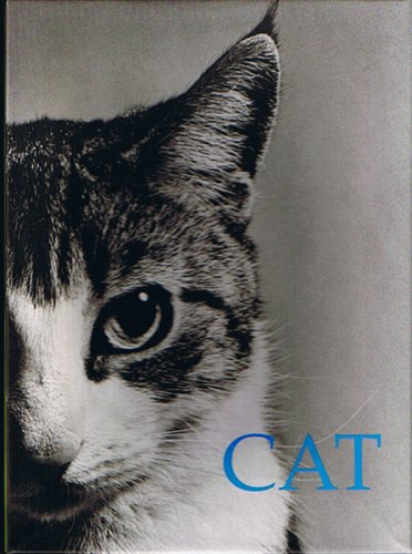 9781584180876: Cat. Box of 20 Notecards