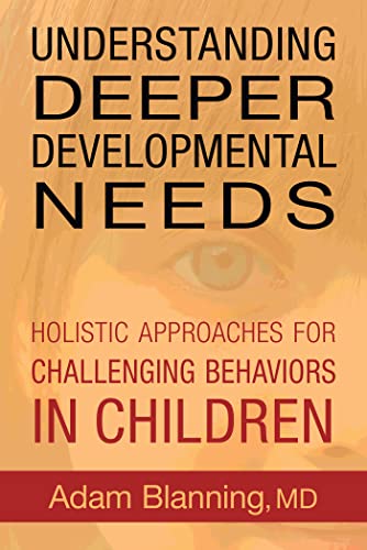 Beispielbild fr Understanding Deeper Developmental Needs: Holistic Approaches for Challenging Behaviors in Children zum Verkauf von Books From California