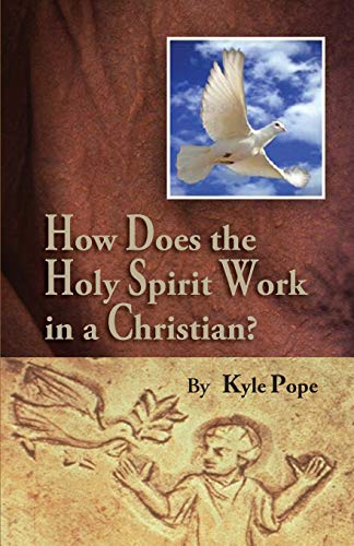 Imagen de archivo de How Does the Holy Spirit Work in a Christian? a la venta por Save With Sam