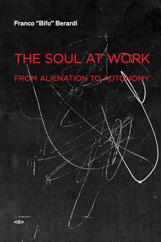 Stock image for The Soul at Work: From Alienation to Autonomy for sale by SecondSale