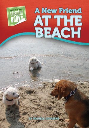 Stock image for A New Friend at the Beach for sale by Better World Books