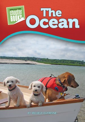 Stock image for The Ocean for sale by Better World Books