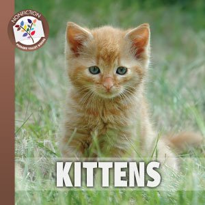 Beispielbild fr Kittens zum Verkauf von Wonder Book