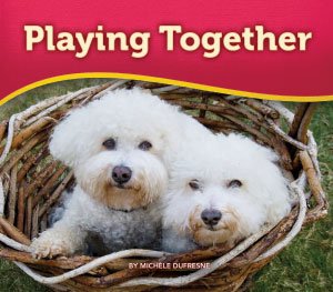 Imagen de archivo de Playing Together a la venta por Gulf Coast Books