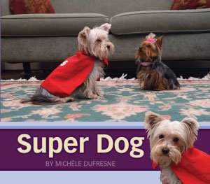 9781584535157: Super Dog