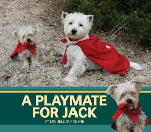 Beispielbild fr A Playmate for Jack : Jack and Daisy Green Set zum Verkauf von Better World Books