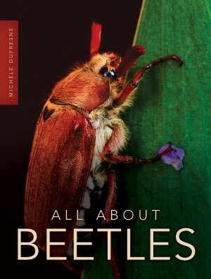 Beispielbild fr All About Beetles zum Verkauf von SecondSale
