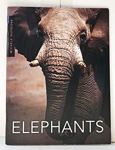 Imagen de archivo de Elephants a la venta por Wonder Book