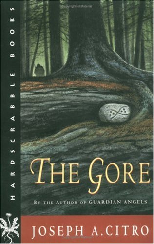 Stock image for The Gore: A Novel (Hardscrabble Books) for sale by HPB-Diamond