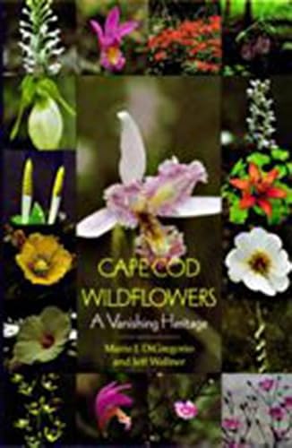 Beispielbild fr Cape Cod Wildflowers: A Vanishing Heritage zum Verkauf von Save With Sam