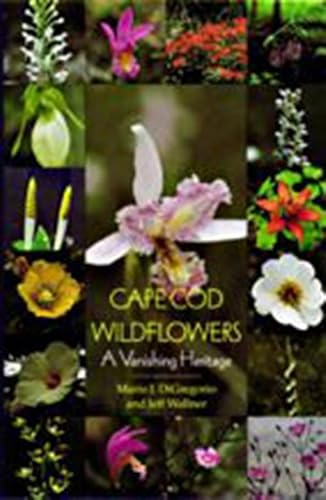 Stock image for Cape Cod Wildflowers: A Vanishing Heritage for sale by Save With Sam