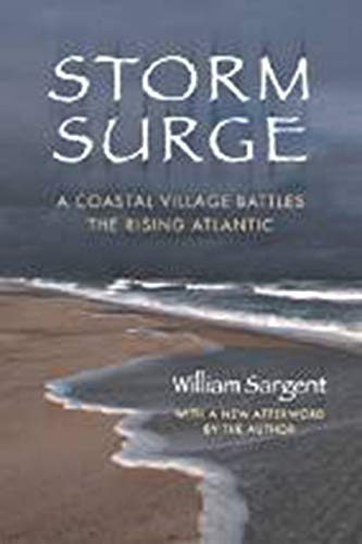 Stock image for Storm Surge: A Coastal Village Battles the Rising Atlantic for sale by Mr. Bookman