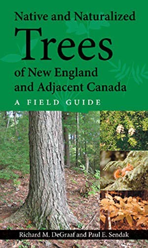 Beispielbild fr Native and Naturalized Trees of New England and Adjacent Canada: A Field Guide zum Verkauf von Goodwill Southern California