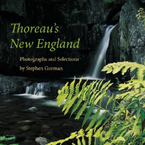 Stock image for THOREAU'S NEW ENGLAND for sale by Artis Books & Antiques