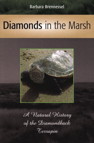 Beispielbild fr Diamonds in the Marsh: A Natural History of the Diamondback Terrapin zum Verkauf von Wonder Book