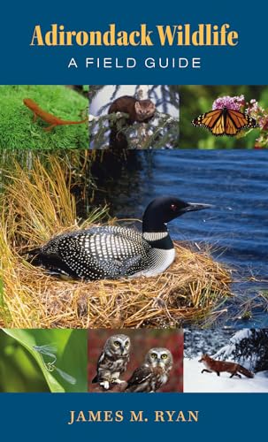 Adirondack Wildlife: A Field Guide.