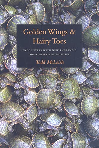 Stock image for Golden Wings & Hairy Toes: Encounters with New England's Most Imperiled Wildlife for sale by Wonder Book