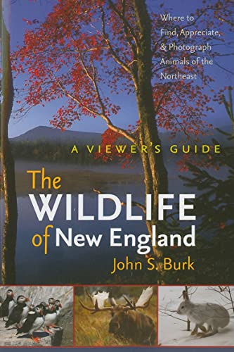 9781584658344: The Wildlife of New England: A Viewer's Guide (Unh Non-Series Title)