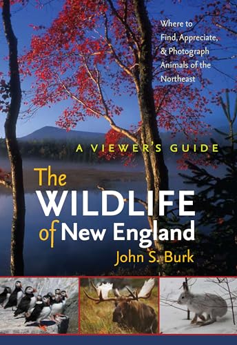 Stock image for The Wildlife of New England: A Viewer's Guide for sale by ThriftBooks-Atlanta