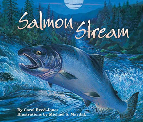 Stock image for Salmon Stream for sale by Kennys Bookshop and Art Galleries Ltd.