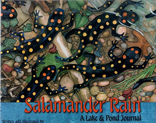 Beispielbild fr Salamander Rain : A Lake and Pond Journal zum Verkauf von Better World Books