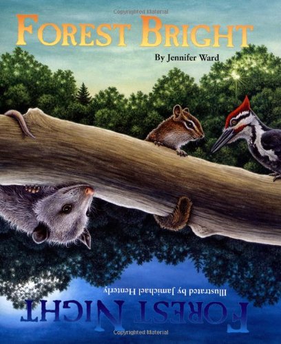 Stock image for Forest Bright, Forest Night for sale by Better World Books: West