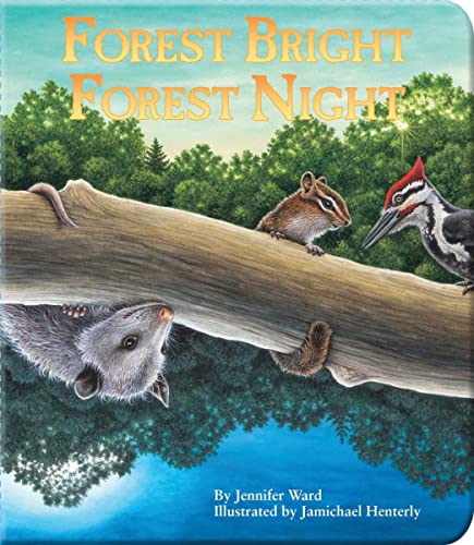 Imagen de archivo de Forest Bright, Forest Night (Simply Nature Books) a la venta por Wonder Book