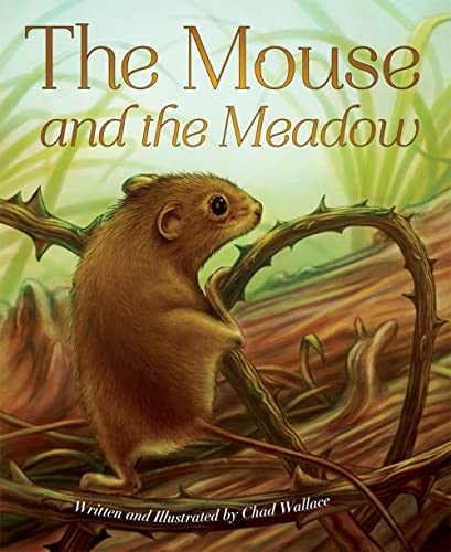 Stock image for The Mouse and the Meadow for sale by Gulf Coast Books