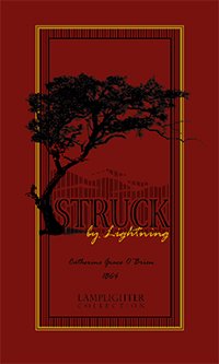 Stock image for Struck by Lightning (Fireside Collection) for sale by GF Books, Inc.