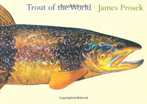 9781584791522: TROUT OF THE WORLD