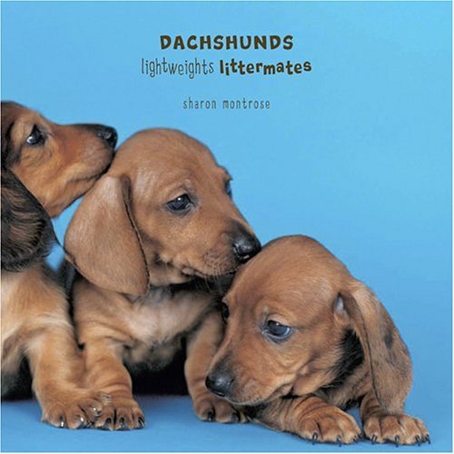 Stock image for Dachshunds: Lightweights - Littermates for sale by Abacus Bookshop