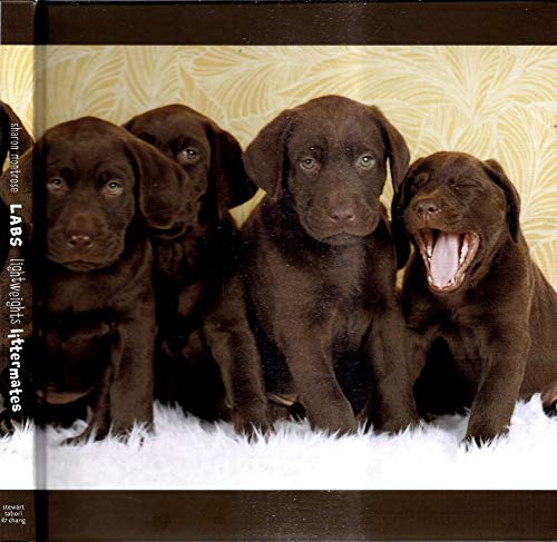 Stock image for Labs (Lightweight Littermates): Lightweights Littermates for sale by WorldofBooks