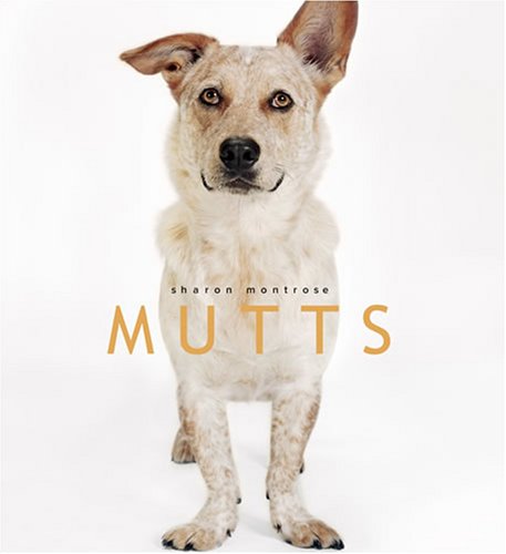 Imagen de archivo de Mutts a la venta por Books of the Smoky Mountains