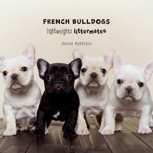 Imagen de archivo de French Bulldogs: Lightweights Littermates a la venta por Wonder Book