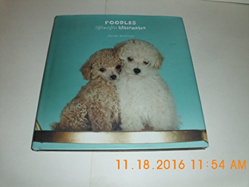 9781584796367: Poodles: Lightweights Littermates