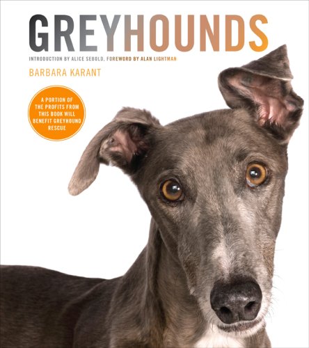 Stock image for Greyhounds for sale by Your Online Bookstore