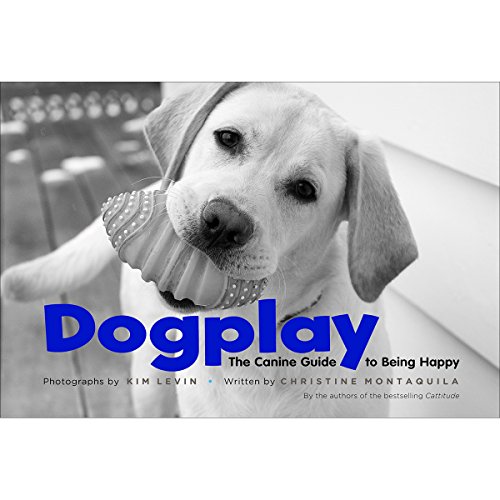 Stock image for Dogplay: The Canine Guide to Being Happy for sale by Wonder Book