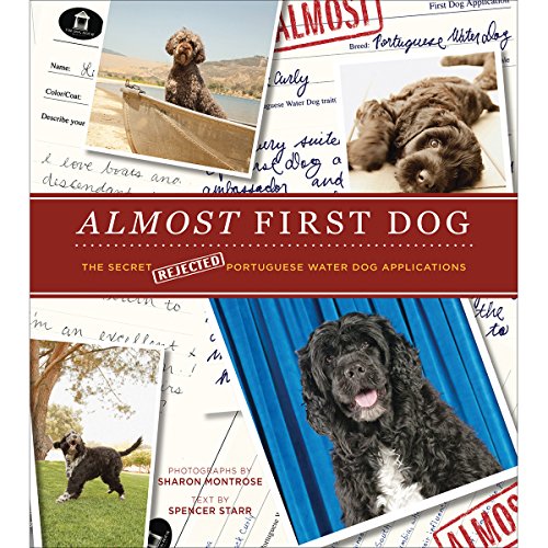 Imagen de archivo de Almost First Dog : The Secret Rejected Portuguese Water Dog Applications a la venta por Better World Books