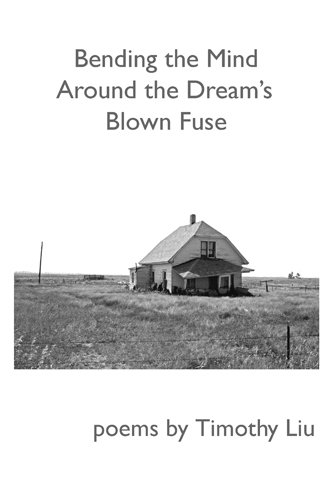 BENDING THE MIND AROUND THE DREAM'S BLOWN FUSE (9781584980650) by Liu, Timothy