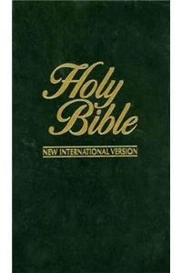 Stock image for Holy Bible-NIV for sale by Wonder Book