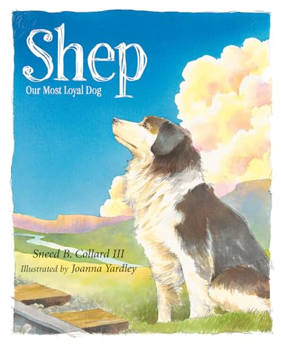 Stock image for Shep: Our Most Loyal Dog (True Story) for sale by Jenson Books Inc
