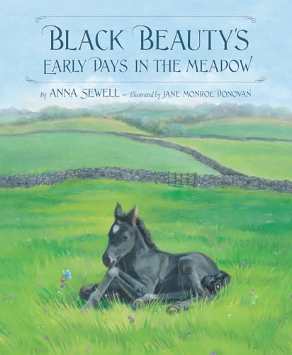 Stock image for Black Beauty's Early Days in the Meadow for sale by Better World Books