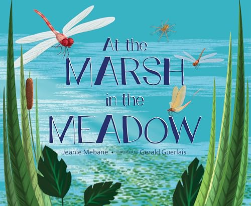 Stock image for At the Marsh in the Meadow for sale by Better World Books: West