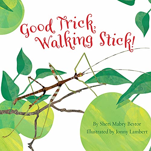 Beispielbild fr Good Trick Walking Stick zum Verkauf von Blackwell's