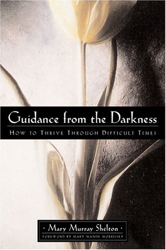 Beispielbild fr Guidance from the Darkness: How to Thrive through Difficult Times zum Verkauf von Wonder Book