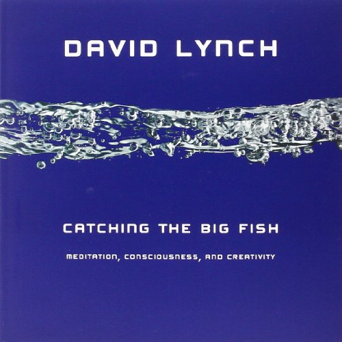 9781585426126: Catching the Big Fish: Meditation, Consciousness, and Creativity