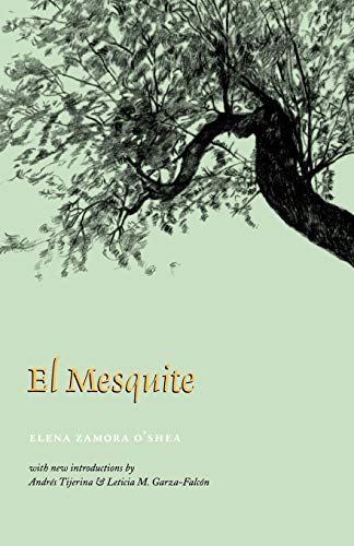 Stock image for El Mesquite: A Story of the Early Spanish Settlements Between the Nueces and the Rio Grande (Volume 4) (Rio Grande/Río Bravo: Borderlands Culture and Traditions) for sale by BooksRun