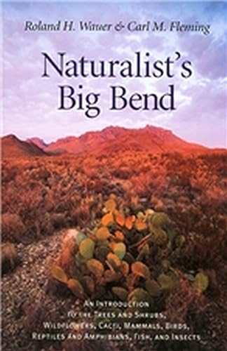 Beispielbild fr Naturalist's Big Bend: An Introduction to the Trees and Shrubs, Wildflowers, Cacti, Mammals, Birds, Reptiles and Amphibians, Fish, and Insects (Louise Lindsey Merrick Natural Environment Series, 33) zum Verkauf von BooksRun